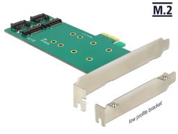 DeLock PCI Express Card > 2x internal M.2 Key B 110 mm - Low Profile Form Factor