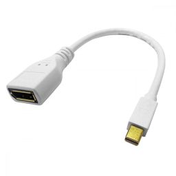 Displayport adapter Mini DP M -> DP F v 1.2 P. ROLINE (12.03.3163)