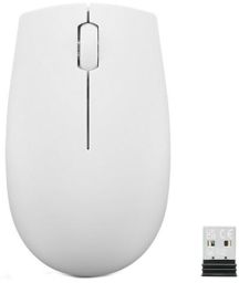 LENOVO 300 Wireless Compact Mouse (Cloud Grey)