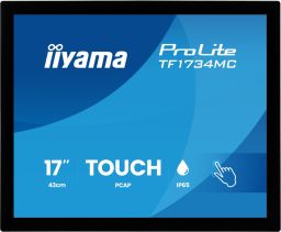 iiyama 17