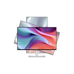 DELL 24 Plus Monitor 23,8