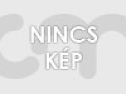 Intenso 16GB Micro Line Black