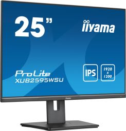 iiyama 25