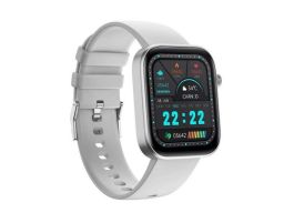 Carneo Zenith HR+ Silver