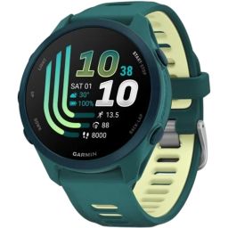 Garmin Forerunner 170 Music Green-Lemon (ED)