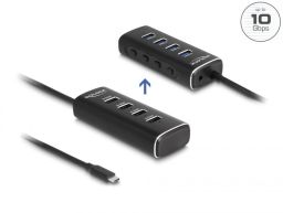 DeLock 4 Port USB 10 Gbps Hub with USB Type-C connector 60 cm Cable and Switch for each port
