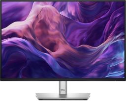 DELL LCD IPS Monitor 24