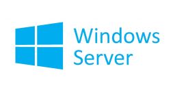 Microsoft Windows Server CAL 2019 Hungarian 1pk DSP OEI 5 Clt Device CAL