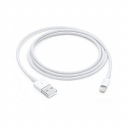 Apple Lightning to USB Cable (1 m)
