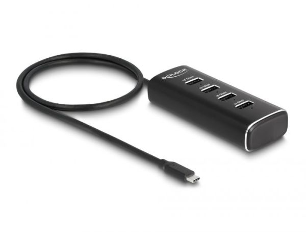 DeLock 4 Port USB 10 Gbps Hub with USB Type-C connector 60 cm Cable and Switch for each port