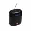 JBL Tuner XL Bluetooth Speaker with DAB FM radio Black