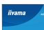 iiyama 23,8