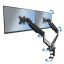 Esperanza ERW020 Mache desk mount for two monitors 17