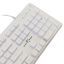 White Shark Tachi Gaming Keyboard White US