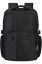 Samsonite Biz2Go Laptop Backpack 15.6