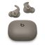 Apple Beats Powerbeats Fit Bluetooth Headset Gravel Grey