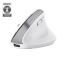 Trust Bayo+Wireless Bluetooth Mouse White