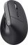 Trust Bayo+ Wireless Ergonomic Mouse Black