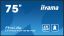 iiyama 75