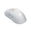 Fnatic Gear Bolt Wireless Gaming Mouse White
