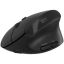 Canyon MW-25 Ergonomic Wireless Bluetooth Mouse Black