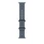 Apple Watch 49mm Band: Ocean Band Black Titanium Finish Anchor Blue