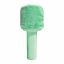 Denver KMS-30RO Bluetooth Karaoke Microphone Speaker with fluffy top Green