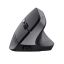 Trust TM-270 Wireless Ergonomic Mouse Black