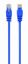 Gembird CAT5e U-UTP Patch Cable 1,5m Blue