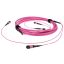 ACT Multimode 50/125 OM4(OM3) polarity A fiber trunk cable with 2 MTP/MPO female connectors each side 100m Pink