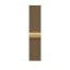 Apple Watch S12 Cellular 46mm Radiant Gold Titanium Case with Radiant Gold Milanese Loop - M/L
