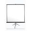 EliteScreen T119UWS1 Tripod 213x213 cm Format 1:1