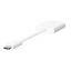 Belkin ROCKSTAR Dual USB-C Audio + Charge Adapter - White