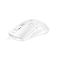 Avax LW01 PAW3327 RGB Gamer Mouse White