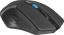 Defender RF Accura MM-275 Wireless Mouse Black/Blue