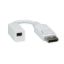 Displayport adapter M -> Mini DP F v 1.2 P. ROLINE (12.03.3132)
