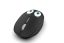 INCA IWM-245RS Wireless Mouse Black