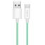 Logilink USB 2.0 Type-C A/M to C/M cable 1m Green