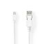Nedis Mini DisplayPort Male - DisplayPort Male Cable 2m White