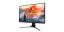 Acer 24,5