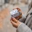 Burga Airpods Case for Airpods Pro 3 Almond Latte
