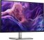 DELL LCD IPS Monitor 24