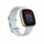 Fitbit Sense 2 Blue Mist/Soft Gold Aluminum