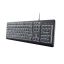 Trust Primo Illuminated Keyboard Black US