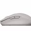 Canyon MW-12 Dual Band Wireless Mouse Beige