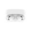 Belkin SoundForm Rhythm Bluetooth Earbuds White