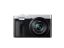 Panasonic Lumix DC-TZ99 Black/Silver
