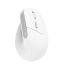 Trust Bayo II Ergonomic Wireless Mouse White
