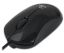 Titanium TM125K Dorado Wired Mouse Black