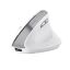 Trust Bayo II Ergonomic Wireless Mouse White